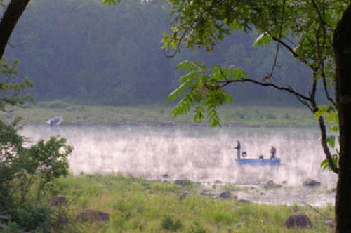 Scenic view of Lake Arbutus coastline