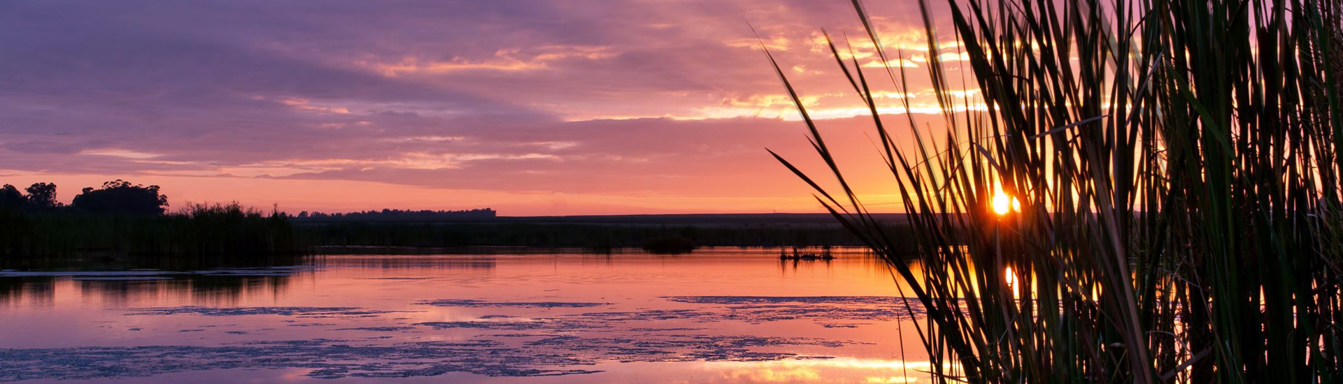 Sunset over Lake Arbutus