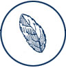 Purple Loosestrife Icon
