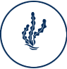 Harmful Algae Blooms Icon