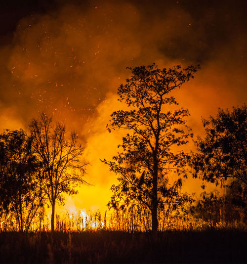 Forest fire prevention and burning permit icon