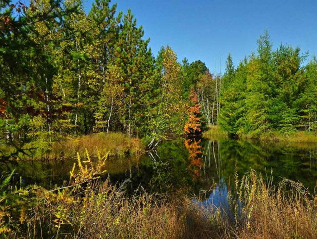 Scenic autumn foliage on Lake Arbutus