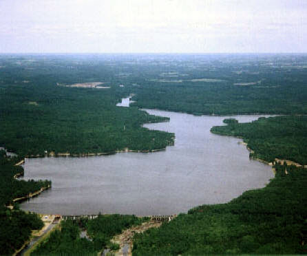 Aerial view of Lake Arbutus