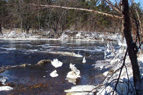 Lake Arbutus community shoreline gathering
